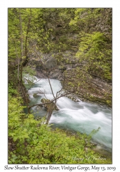 Slow Shutter Radovna River