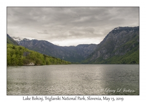 Lake Bohinj