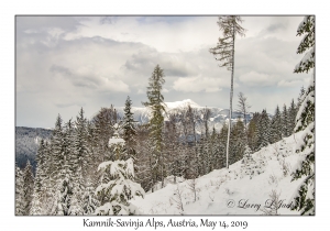 Kamnik-Savinja Alps