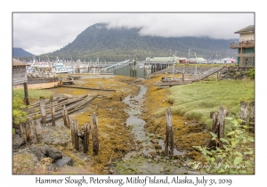 Hammer Slough