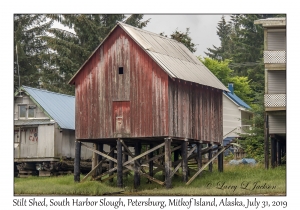 Stilt Shed