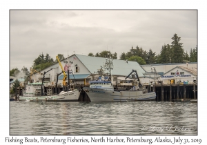 Fishing Boats, Petersburg Fisheries Cannery