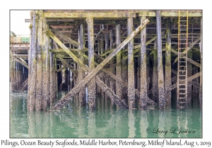 Pilings, Ocean Beauty Seafoods Cannery