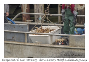 Dungeness Crab Boat, Petersburg Fisheries Cannery