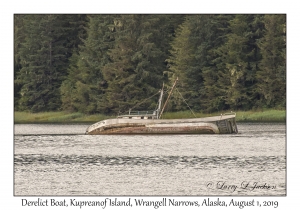Derelict Boat