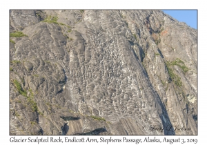 Glacier Sculpted Rock