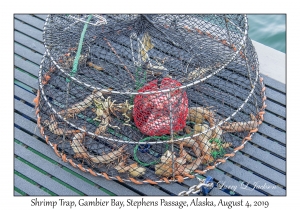 Shrimp Trap