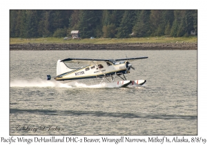 Pacific Wings DeHavilland DHC-2 Beaver