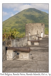 Cannons & Gunung Api