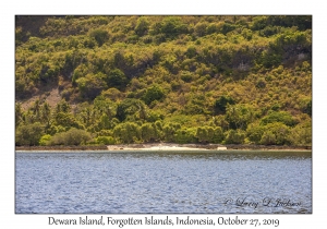 Dewara Island