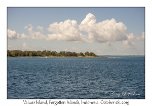 Vaiwar Island