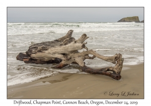 Driftwood