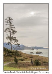 Cannon Beach