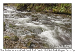 Slow Shutter Necarney Creek