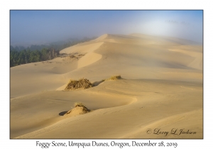 Foggy Dunes