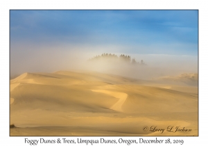 Foggy Dunes