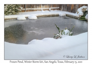 Frozen Pond