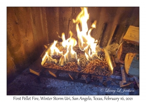 First Heating Pellet Fire