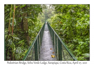 Pedestrian Bridge