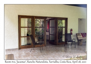 Room #10, 'Jacamar'