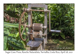 Sugar Cane Press