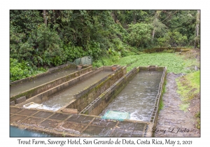 Trout Farm