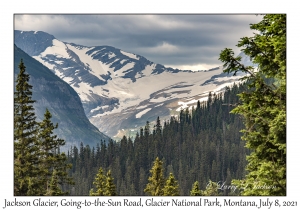 Jackson Glacier