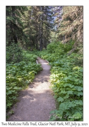 Two Medicine Falls Trail