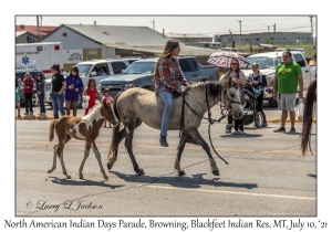 Indian Day Parade