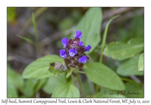 Self-heal