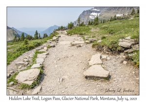 Hidden Lake Trail