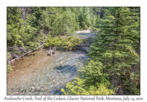 Avalanche Creek