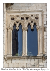 Venetian Window