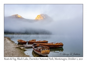 Boats & Fog