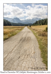 Road to Durmitor National Park