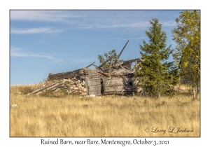 Ruined Barn