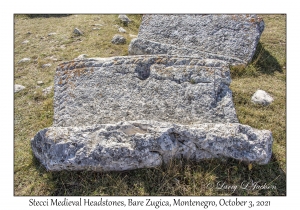 Stecci Medieval Headstones