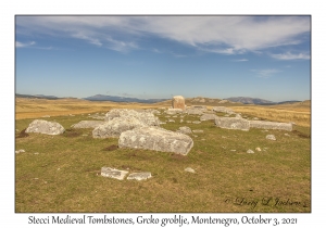 Stecci Medieval Tombstones