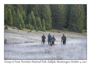 Group in Frost