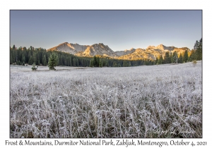 Frost & Mountains