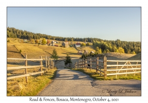 Road & Fences