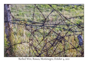 Barbed Wire