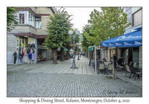 Shopping & Dining Street