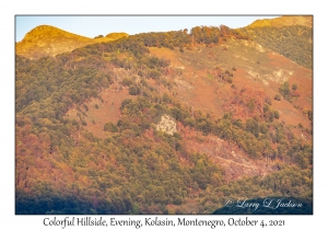 Colorful Hillside, Evening