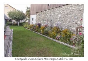 Courtyard Flowers