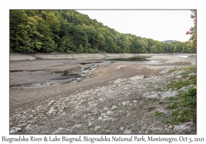 Biogradska River & Lake Biograd