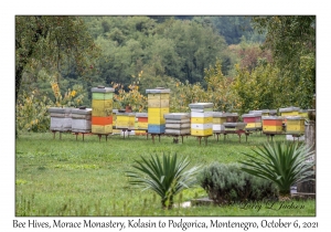 Bee Hives