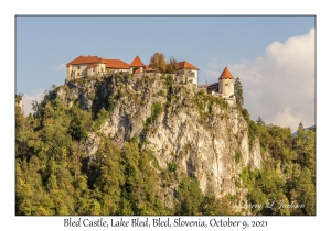 Bled Castle