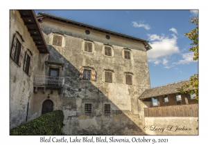 Bled Castle