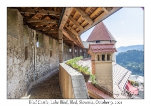 Bled Castle